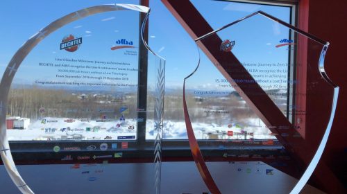 Alba_STAS recognition