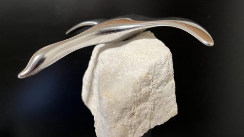 Canadian_Goose_Hosetton-Canada